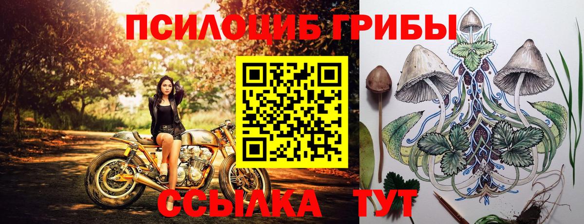 Псилоцибиновые грибы Cubensis  Вход с VPN  Ангарск 